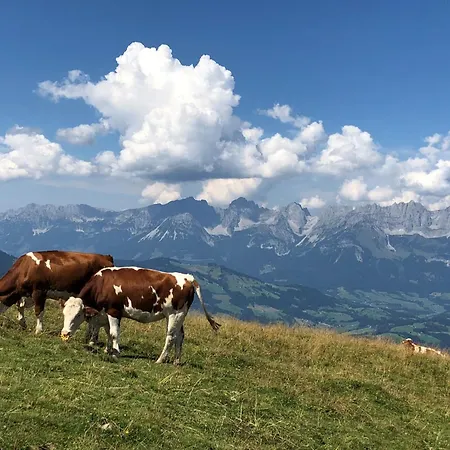 Erika's Haeuschen By Interhome Holiday home Kitzbuhel