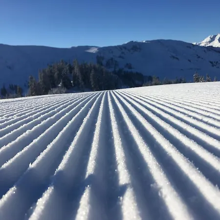 Erika's Haeuschen By Interhome Kitzbuhel